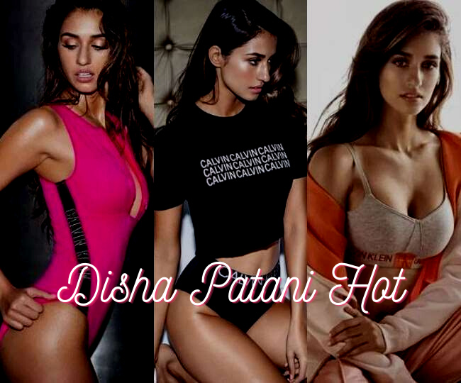 Disha Patani Hot, Sexy, and Bikini Pics